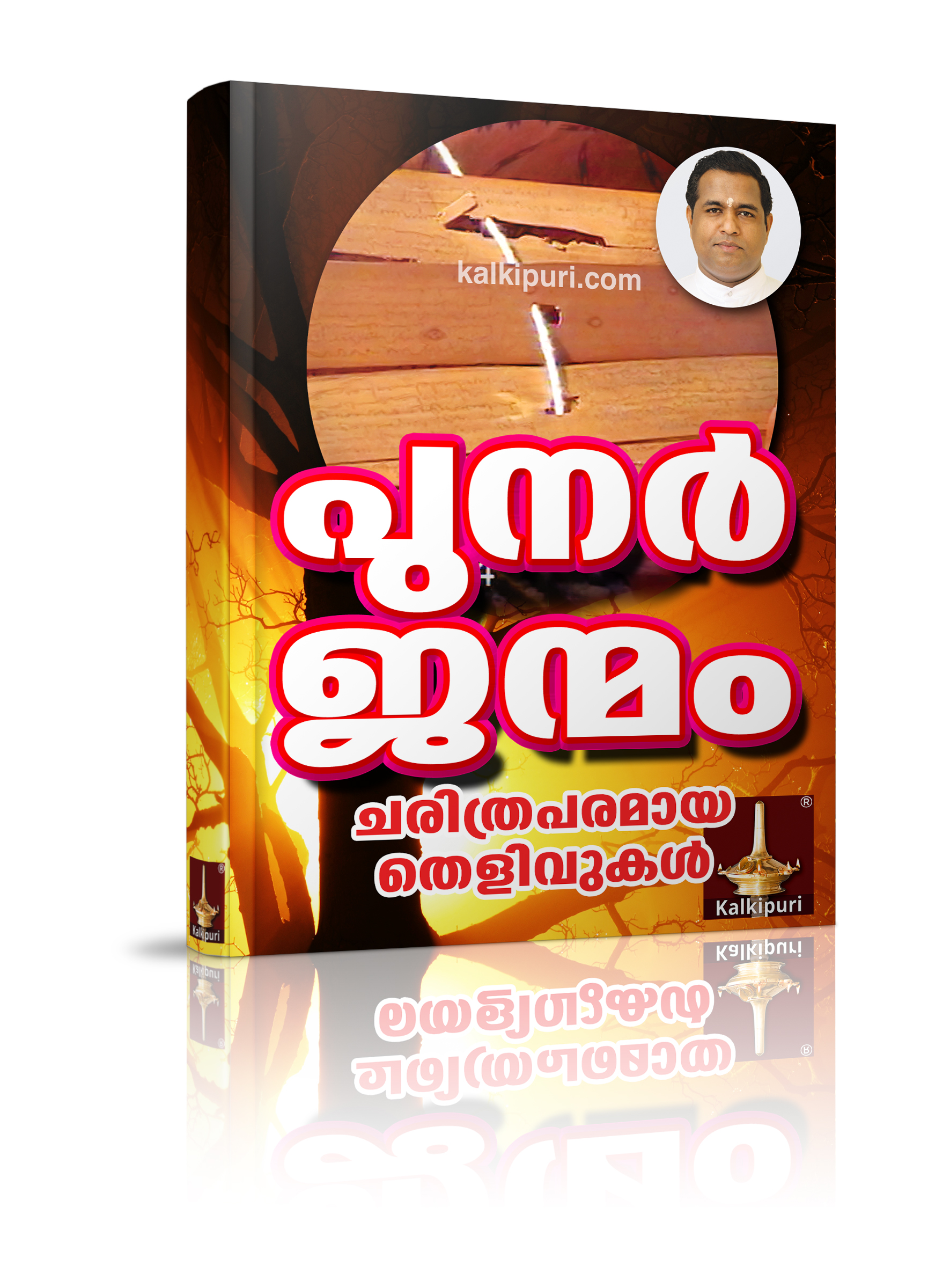 Book Cover Punarjanmam Charithraparamaya Thelivukal